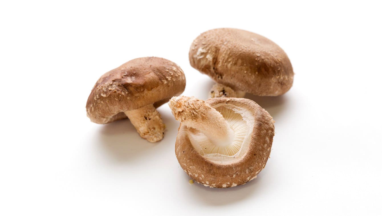 しいたけ工業 シイタケ工場の正社員 化粧品・食品・香料関連求人イメージ